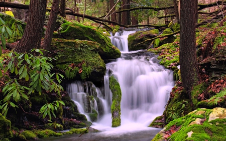 Falls Creek, Pennsylvania - nature, forest, waterfall, usa