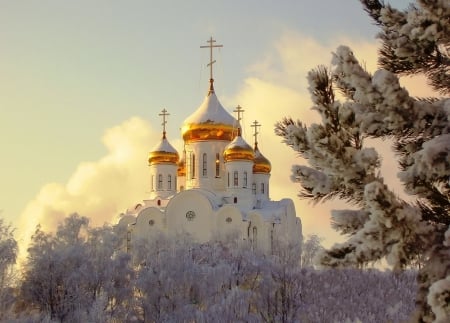 *** Winter *** - trees, church, nature, snow