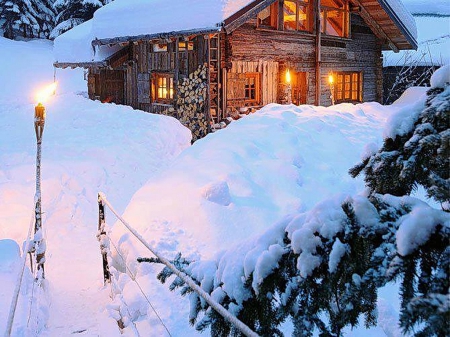 Winter - winter, snow, landscape, morning, tree, year, nature, lights, new, cottage