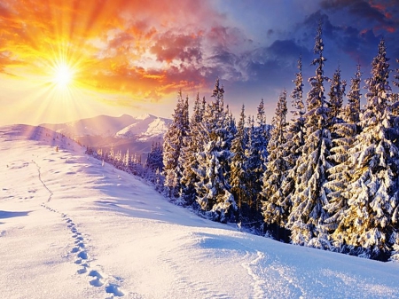 The morning sun over mountains - morning, sky, sunshine, landscape, trees, day, sun, winter, mountains, nature, view, forest, snow, beautiful, over, sunrise