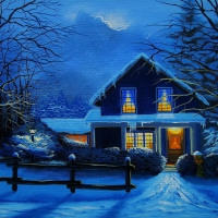 Winter home at night