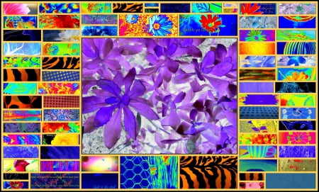 Beautiful colors - collage, abstract, color, pattern