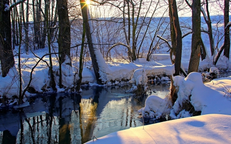 Winter River - water, trees, reflection, snow