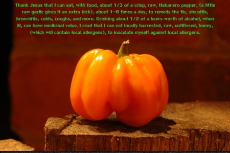 Flu Be Gone 3 - fitness, sinusitis, contagion, christian, coughs, healing, garlic, tasty, cool, wisdom, colds, virus, remedy, religious, safe, habanero pepper, herbs, alcohol, bronchitis, ebola, honey, health, infection, flu, natural