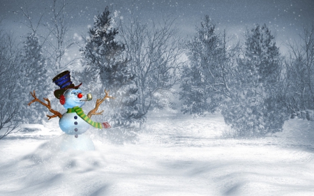 *** Winter *** - snowman, winter, nature, snow