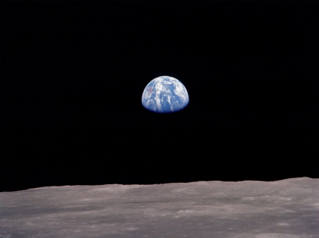 Earth Rising - moon, space, orbit, earth