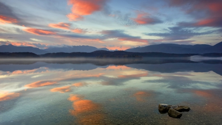 reflected clouds in a shallow lake - reflections, clouds, shallow, lake, stones