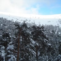 Snow in the mountains