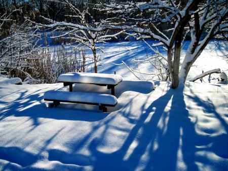 Winter bench - quiet, covered, trees, sunny, winter, beautiful, snow, forest, lovely, rest, shadows, frost, bench, day, park