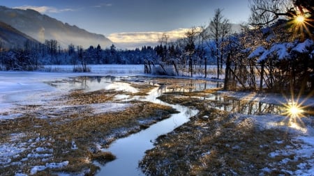 wetland on a winter sunrise - trees, winter, wetland, sunrise, mountains