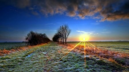 gorgeous sunrise over frosty fields - fields, trees, clouds, frost, sunrise