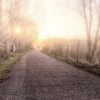 walking the dogs on a marvelous fall morning hdr