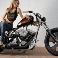 harley davidson  chopper