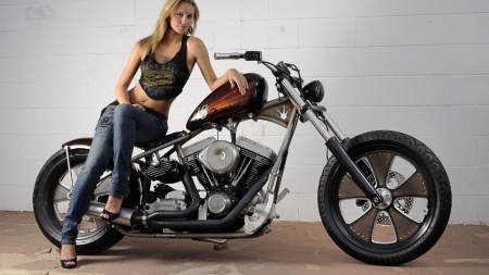 harley davidson  chopper