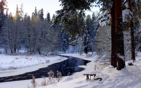 Winter Beauty - trees, winter, water, awesome, snow, bench