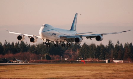 Boeing 747 - plane, boing, tree, land