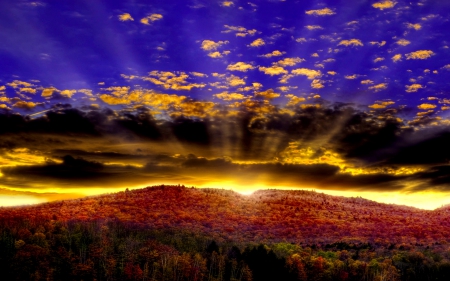 MORNING GLOW - blossoms, hills, rays, field, morning, sky