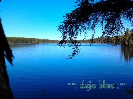 ~~; Deja Blue ;~~ - nature, lake, trees, blue