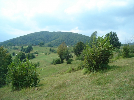 No automobiles up here - transilvania, romania, apuseni, valea draganului, transylvania