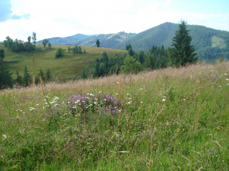 Nothing but peace and quiet - snide, transilvania, romania, garda de sus, apuseni, scarisoara, arieseni, transylvania