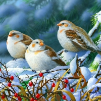 Seeking shelter-detail