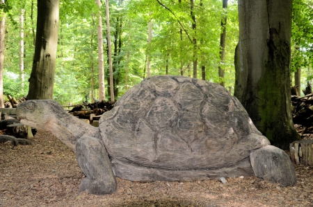 Prehistoric Turtle - photography, animals, turtles, prehistoric