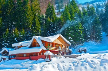 Mountain rest - trees, ski, hills, winter, cabin, beautiful, snow, landscape, slope, resort, lovely, rest, mountain, nature, cottages, chalet