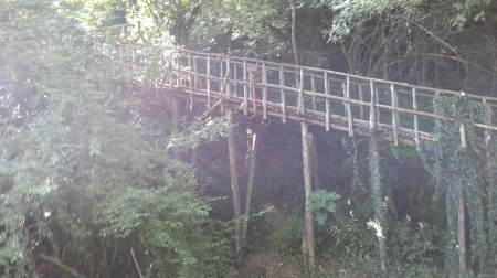 The suspended way in the forest - Caglieron, Forest, Bridge, Italy