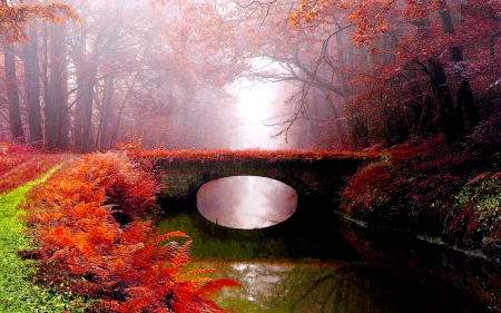 OVERGROWN BRIDGE - nature, fog, autumn, bridhe, woods