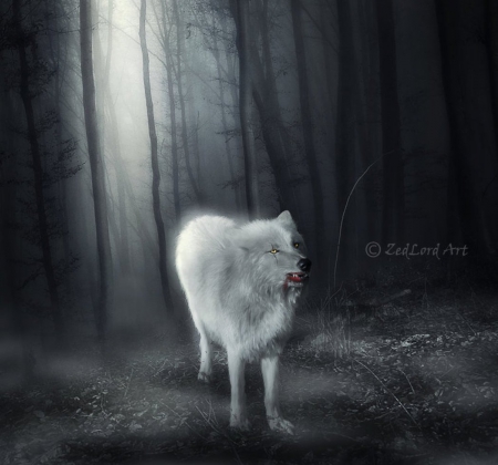 Wolf in the Mist - forest, fantasy, mist, abstract