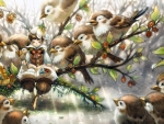 Song of the Sparrows