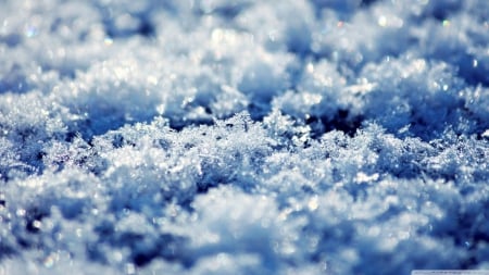 Snow - abstract, winter, frosted, photography, crystals, snow, frosty, HD, frozen, nature, macro, cold, frost, snow crystals, wallpaper