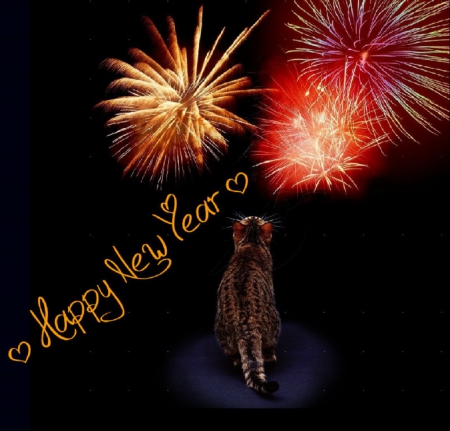 â™¥ Happy New Year â™¥ - cats, kitty, fireworks, animals