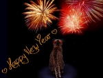 â™¥ Happy New Year â™¥