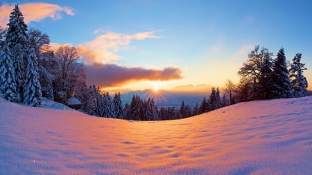 Wintertime - clouds, trees, sunset, snow, sky