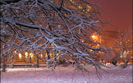 Winter in the City - snow, tree, house, twigs, lights