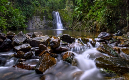 Forest Waterfall - nature, forest, waterfall, rocks