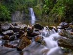 Forest Waterfall