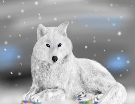 Winter - winter, wolf, snowing, wild