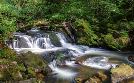 Golithe Waterfall, England - nature, england, forest, waterfall