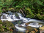 Golithe Waterfall, England