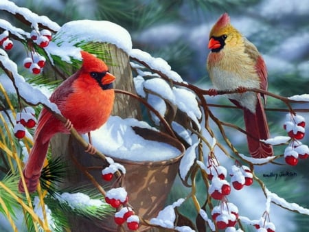 Morning glow-detail - pretty, birds, snow, forest, friends, nice, art, branches, trees, winter, beautiful, morning, lovely, berries, cardinals, glow, painting