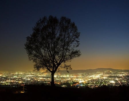 Nara City - nara, japan, night, scenery, city, japanese