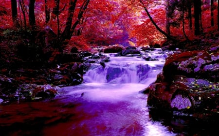 AUTUMN FOREST FALLS - autumn, falls, forest, river