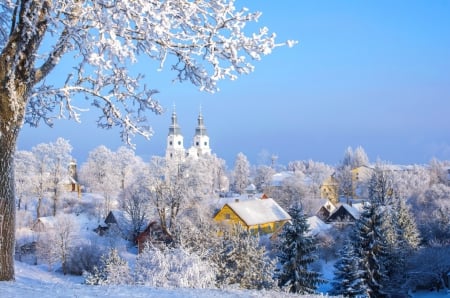 Winter village - quiet, trees, branches, winter, beautiful, village, calmness, frozen, white, serenity, cold, frost, houses, peaceful, sky