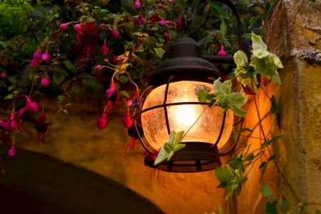 LANTERN LIGHT - entrance, lantern, flowers, garden, decoration