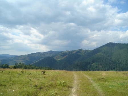 Very peaceful up here - Romania, Transylvania, Garda de Sus, Transilvania, Apuseni, Scarisoara, Valea Ariesului, Snide