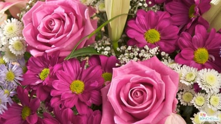 BEAUTIFUL ROSES - gorgeous, gorgeous flowers, beautiful, flowers, pinkroses