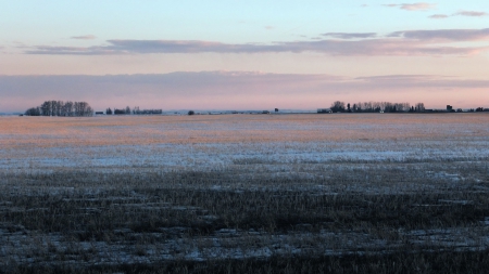 Prairie, early spring, Western Canada - alberta, frost, canada, queen elizabeth highway, prairie