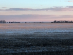 Prairie, early spring, Western Canada